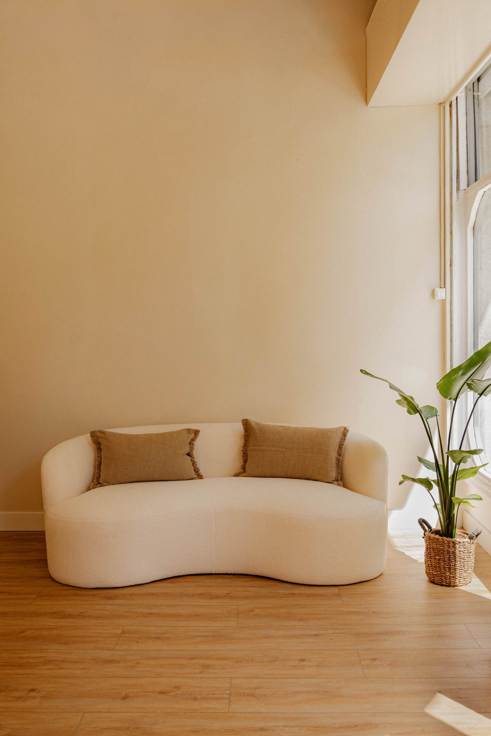 Sofa de diseño y planta en la recepción del estudio boutique